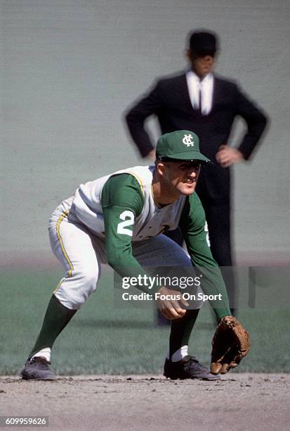 Wayne Causey of the Kansas City Athletics in action during an Major League Baseball game circa 1964. Causey played for the Athletics from 1961-66.