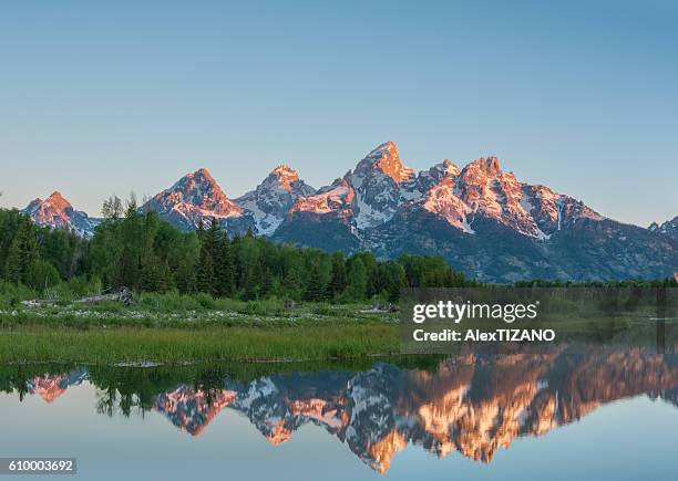 morning reflection at schwabacher landing, great teton national park, wyoming, usa - grand teton national park stockfoto's en -beelden