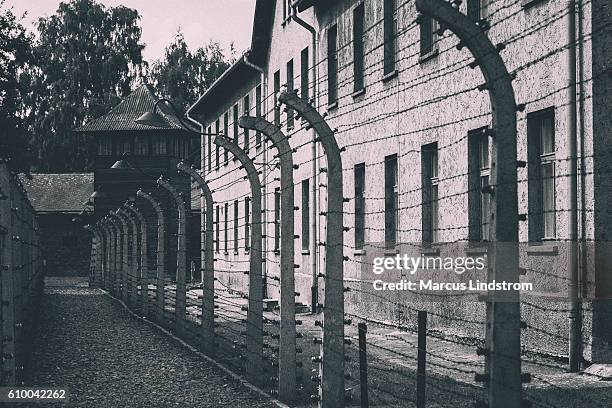 stacheldrahtzaun in auschwitz - holocausto stock-fotos und bilder