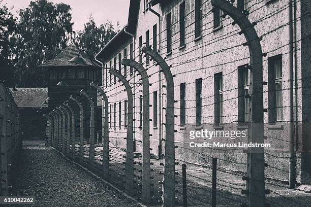 barbed wire fence at auschwitz - holocaust stock pictures, royalty-free photos & images