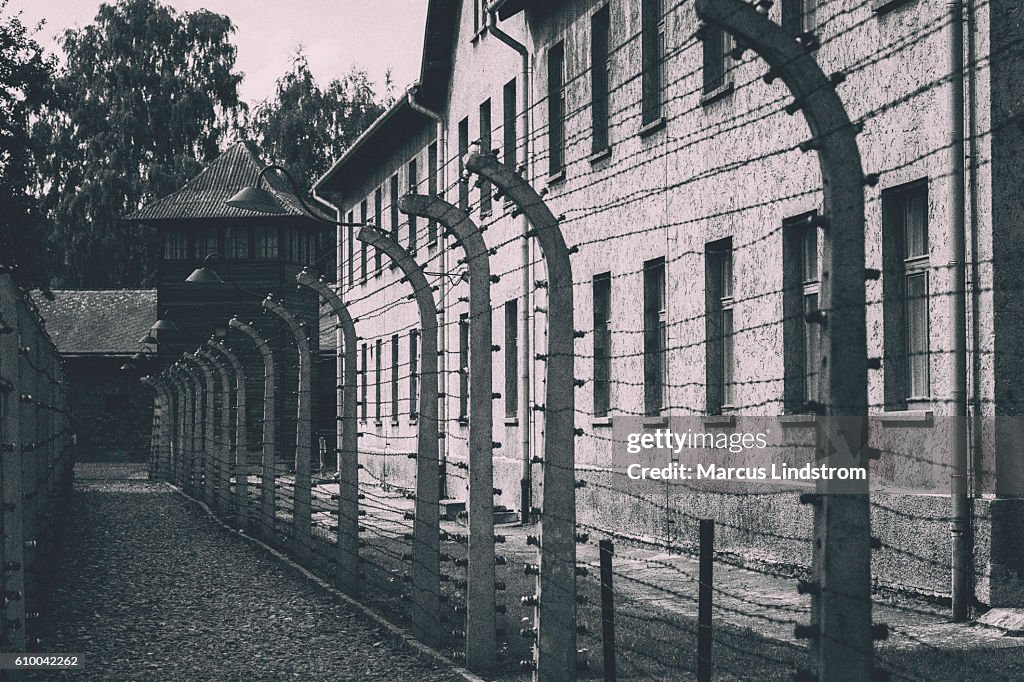 Cerca de arame farpado em Auschwitz