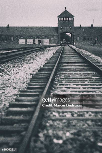 auschwitz-birkenau tracks - concentration camp photos 個照片及圖片檔