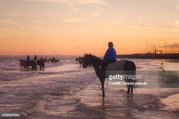 side view of man ride horse on the beach in sunrise ( normandy , france ) - deauville beach stock pictures, royalty-free photos & images