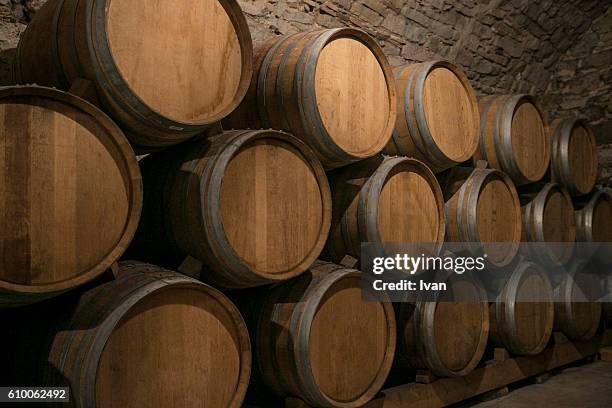 wine bottles arranged in a wine cellar in a vineyard - spanish basque country 個照片及圖片檔