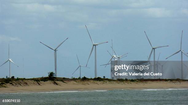 wind towers - rio grande do norte imagens e fotografias de stock