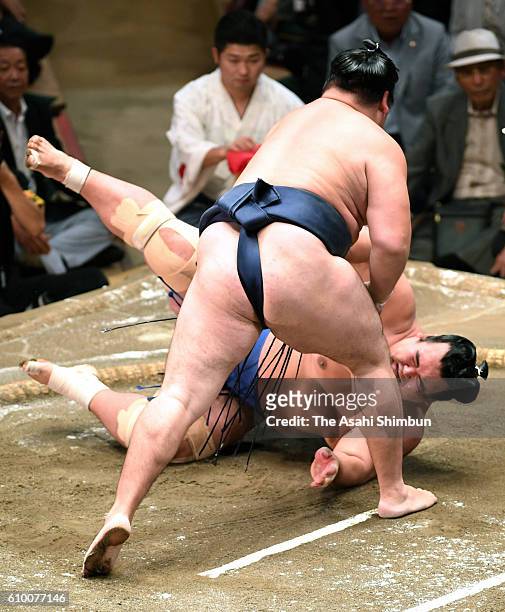 Mongolian yokozuna Kakuryu throws ozeki Kotoshogiku to win during day eleven of the Grand Sumo Autumn Tournament at Ryogoku Kokugikan on September...