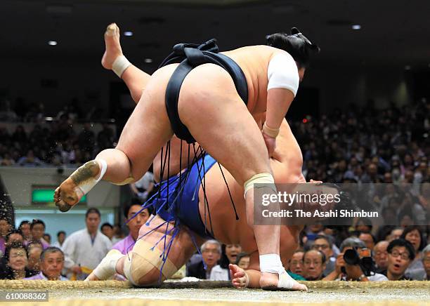 Mongolian yokozuna Harumafuji throws ozeki Kotoshogiku to win during day twelve of the Grand Sumo Autumn Tournament at Ryogoku Kokugikan on September...