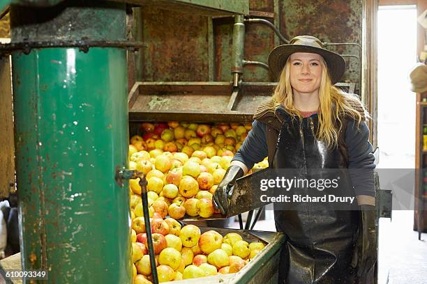 cider maker standing by apple pressing machine - apple pressing stock pictures, royalty-free photos & images