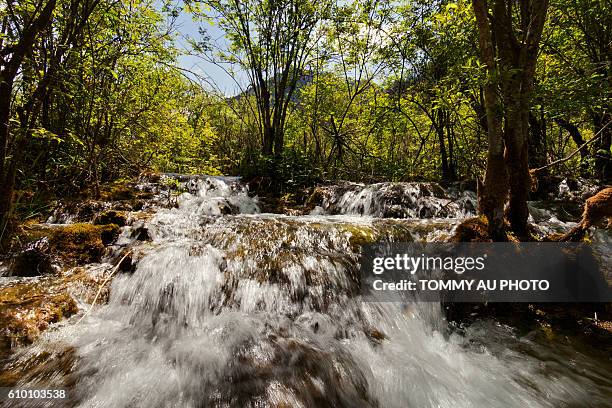 Rize Ridge 489 Rize Valley Stock Photos, High-Res Pictures, and Images - Getty Images