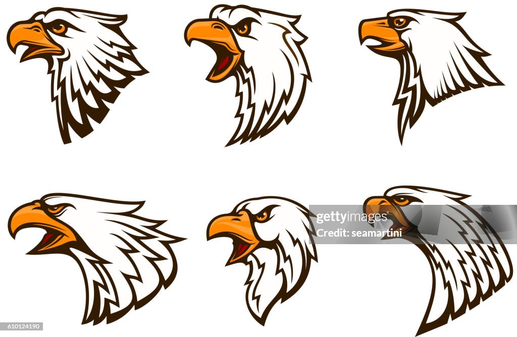 Bald Eagle Vector Emblems Set High-Res Vector Graphic - Getty Images