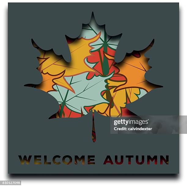 ilustraciones, imágenes clip art, dibujos animados e iconos de stock de el arce deja el fondo con espacio en blanco - sombra paralela