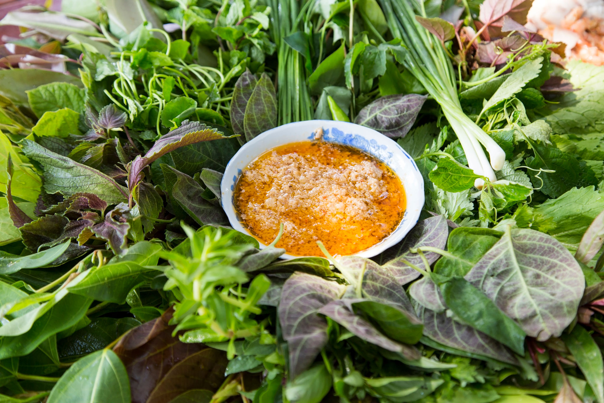 Peculiar herbs salad Peculiar herbs salad