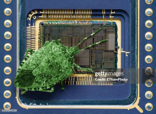 Small Insecvt In Computer Bug (Software) Photos and Premium High Res Pictures - Getty Images