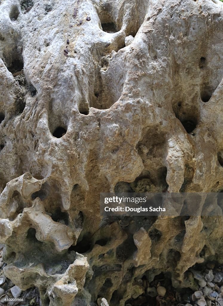 Tafoni Rocks Closeup Of Tafoni Sedimentary Rock High-Res Stock Photo - Getty Images