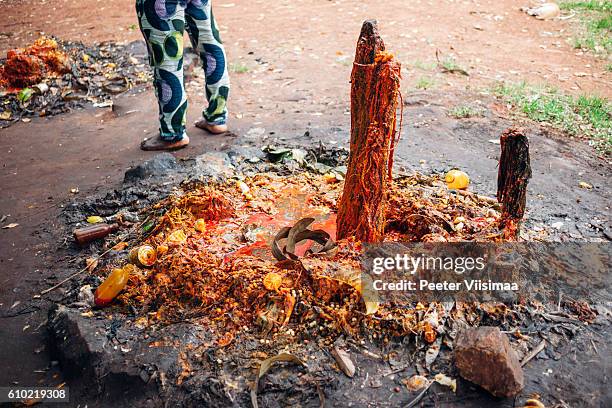 voodoo altar covered with palmoil and blood. benin, west africa. - altar stock pictures, royalty-free photos & images