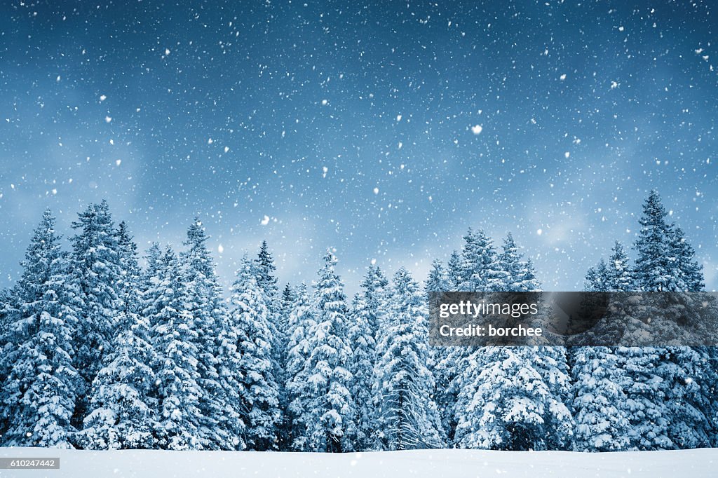 Puro Inverno