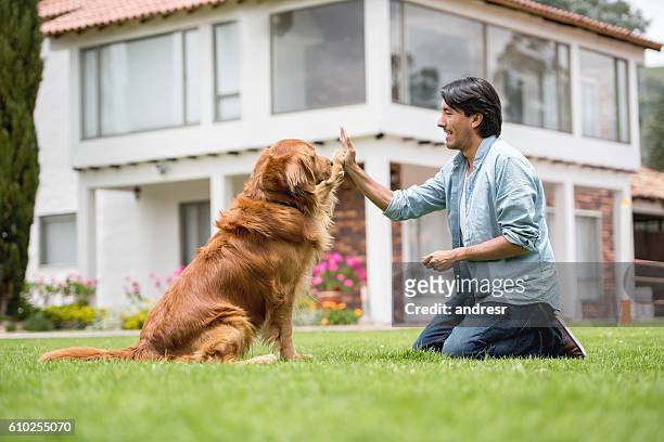 man training a dog - dierentrucs stockfoto's en -beelden