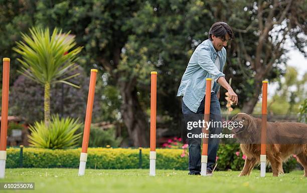 man training a dog - animal trainer stock pictures, royalty-free photos & images