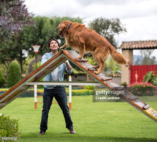happy man with a dog at the park - dierentemmer stockfoto's en -beelden