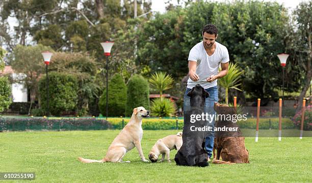 hombre que entrena perros en el parque - entrenador de animales fotografías e imágenes de stock