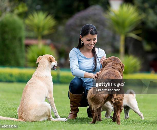 mulher brincando com cães adotados - instrutor - fotografias e filmes do acervo