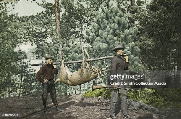 Postcard of two hunters transporting a deer after a successful hunt, Adirondacks, New York, 1903. From the New York Public Library. .