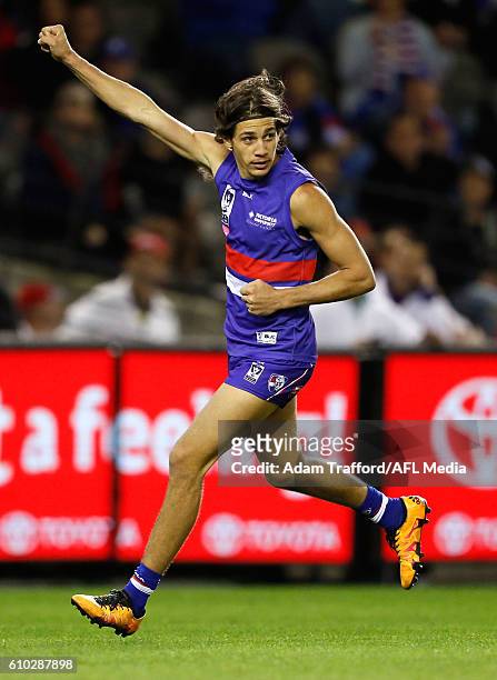 Ben Long of the Bulldogs celebrates a goal during the VFL Grand Final match between Footscray Bulldogs and Casey Scorpions at Etihad Stadium on...