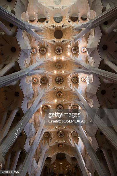 52 Sagrada Familia Ceiling Stock Photos, High-Res Pictures, and Images ...