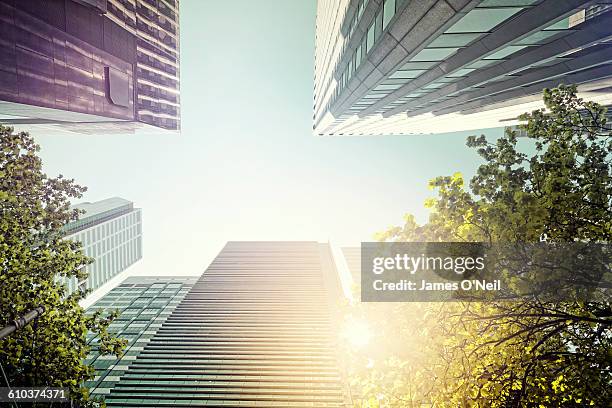 looking up at melbourne buildings - trees low view stock-fotos und bilder