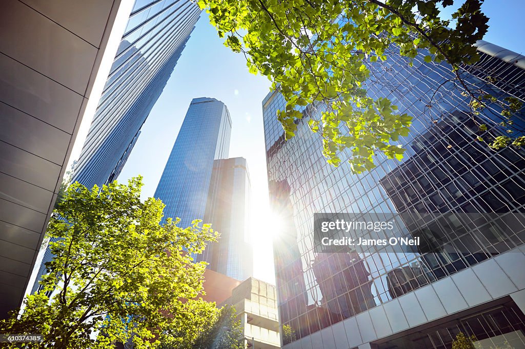 Looking at at city buildings