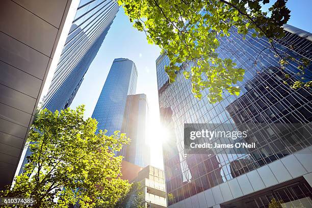 looking at at city buildings - ビル ストックフォトと画像