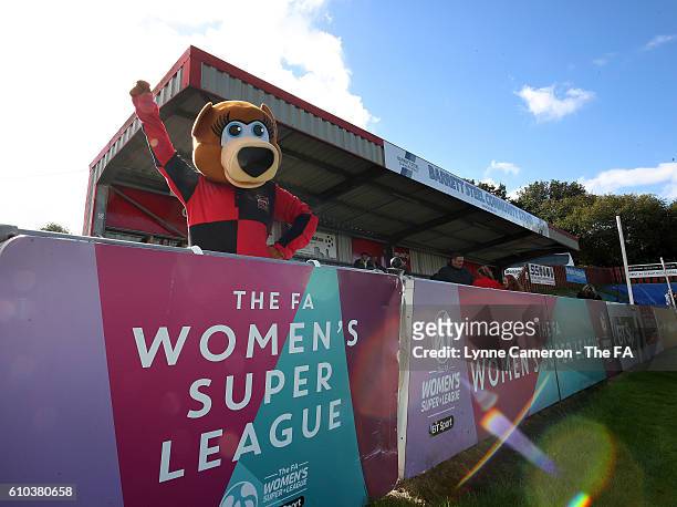Clubby Bear the mascot before the WSL 2 match between Sheffield FC Ladies and London Bees at Home of Football on September 25, 2016 in Sheffield,...