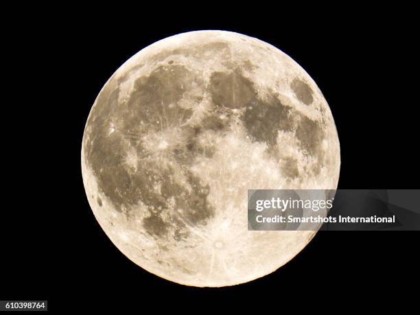 close up image of full moon as seen in the northern hemisphere - planetary moon stockfoto's en -beelden