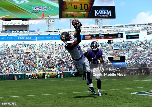 Allen Robinson of the Jacksonville Jaguars catches a touchdown pass in front of Kyle Arrington of the Baltimore Ravens at EverBank Field on September...