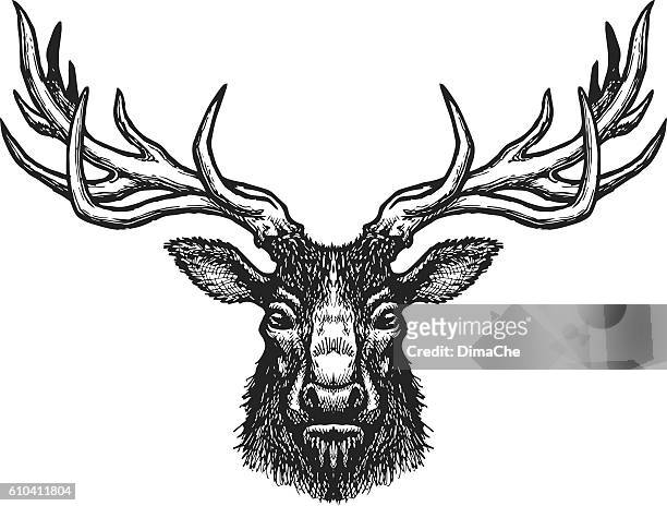 deer head - deer antler silhouette stock illustrations