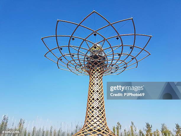 tree of life, icon of expo 2015 - american arborvitae stock pictures, royalty-free photos & images