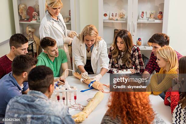 medical students learning to take blood from artificial hand. - ssc exam stock pictures, royalty-free photos & images