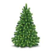 Christmas tree, detailed vector illustration