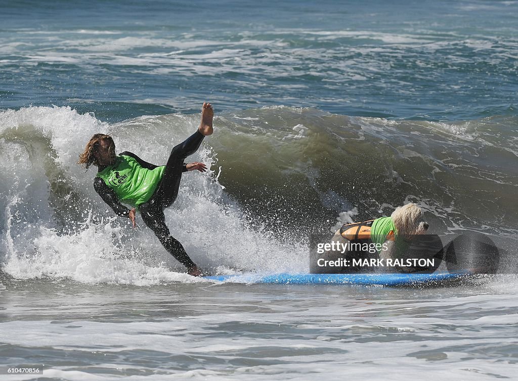 US-LIFESTYLE-SPORT-ANIMAL-DOG-SURF