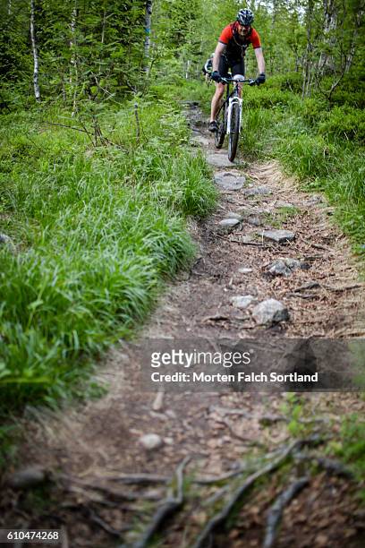 mountain biking - norway national day 2016 stock pictures, royalty-free photos & images