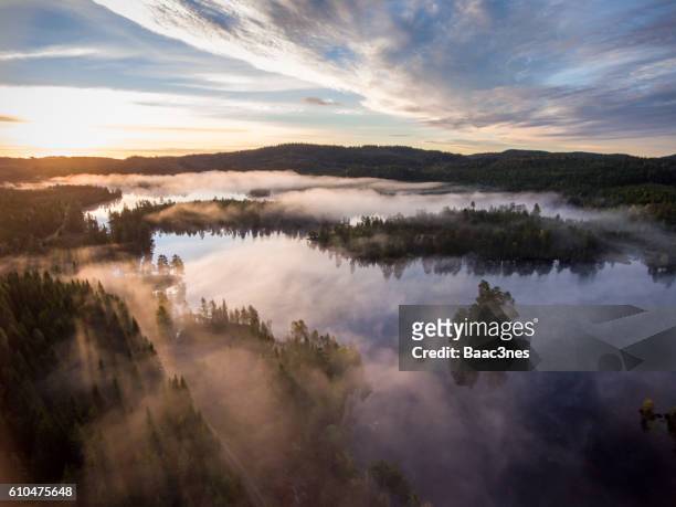 aerial view - sunrise and morning mist in  the forest - østfold stock pictures, royalty-free photos & images