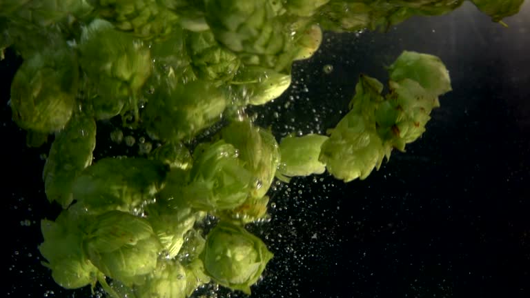 https://media.gettyimages.com/id/610494362/video/two-videos-of-hops-falling-into-water-real-slow-motion.jpg?b=1&s=640x640&k=20&c=dTsB4o_LDqbG8ApC8fTun6fEjtA6M61OUZHuoubJ3LI=