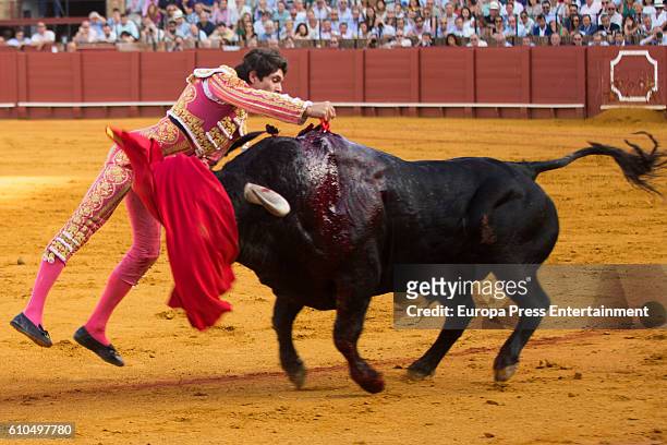 Bullfighter Sebastian Castella performs during San Miguel Fair on September 25, 2016 in Seville, Spain.