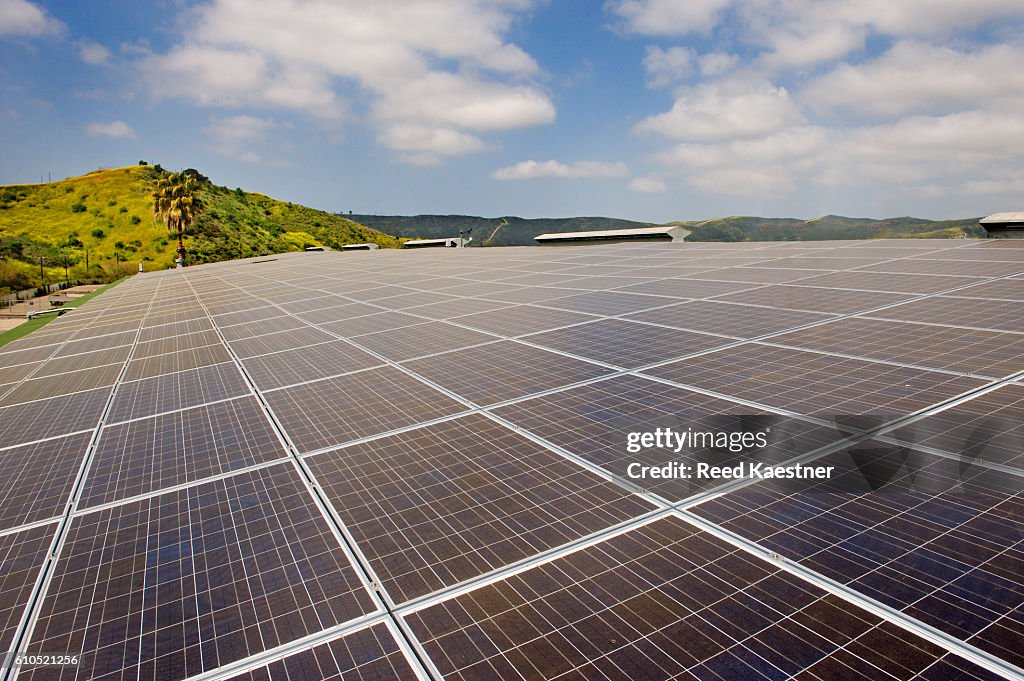 An array of solar panels mounted on the roof of a commercial building help reduce energy costs.