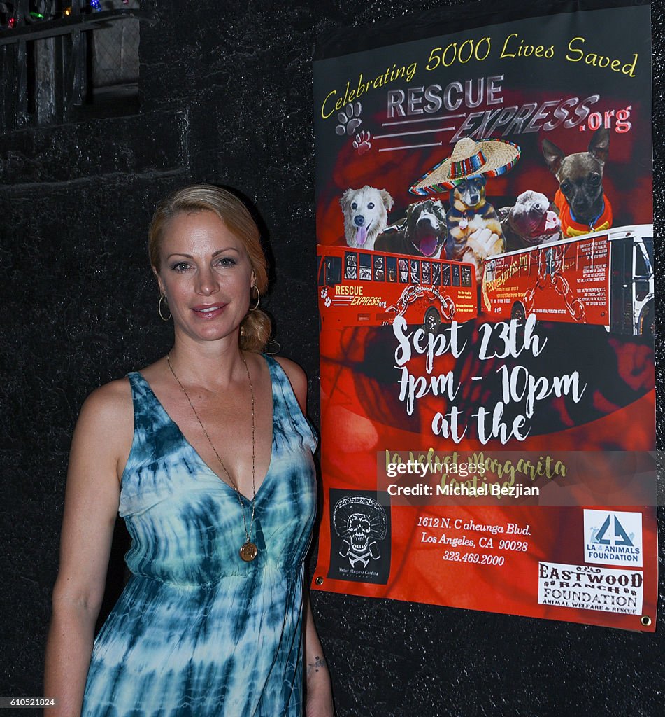 Alison Eastwood And Linda Carel Host Private Reception For Rescue Express