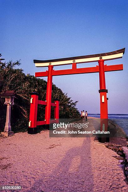 torii gate - miyazaki prefecture stock pictures, royalty-free photos & images