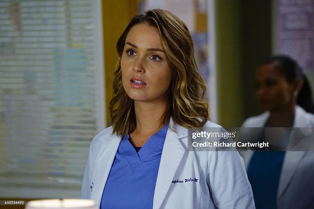 ABC's "Grey's Anatomy" - Season Thirteen