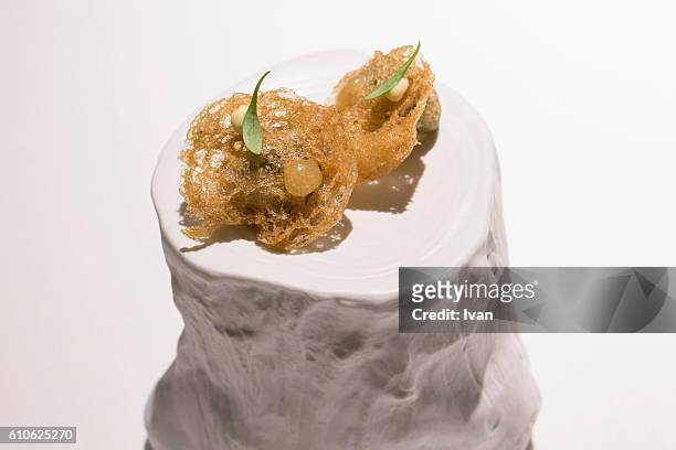 luxury molecular gastronomy, fried oyster - molecular gastronomy stock-fotos und bilder