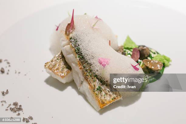 luxury molecular gastronomy, cooked european sea bass with vegetable foams and bubbles sauce - liquid nitrogen foto e immagini stock