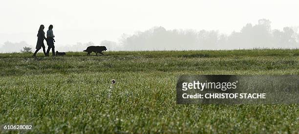 People walk their dog on a meadow way near Raisting near Weilheim, southern Germany, during foggy nice autumn morning with temperatures around 15...